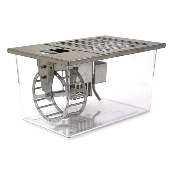 Misstep Wheel RIght