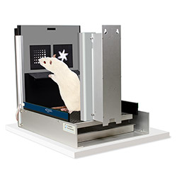 Bussey-Saksida Rodent Touch Screen Chambers