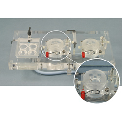 Acrylic Dual Channel Top Plate for Electrophysiology